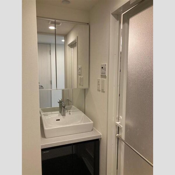 S-RESIDENCE新宿御苑602号室 洗面