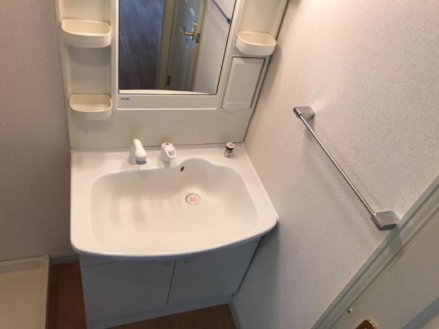 フォートヴィラⅡ101号室 洗面