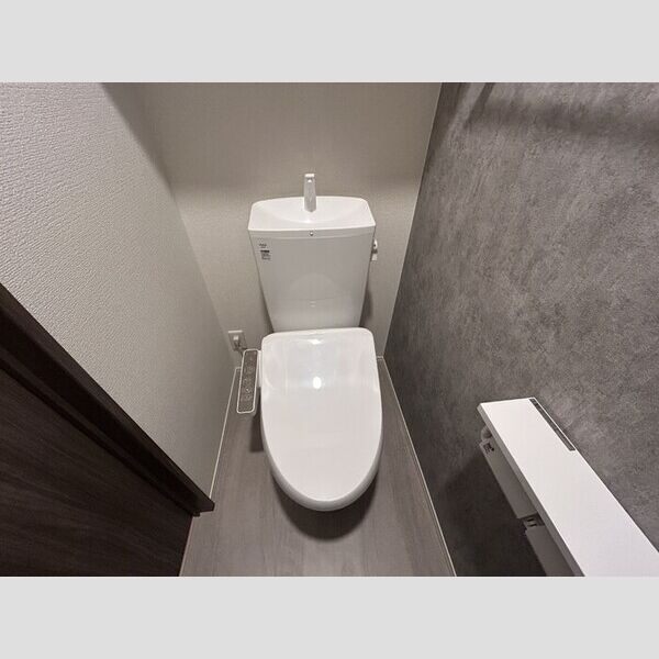 ディーラヴェニュー208号室 トイレ