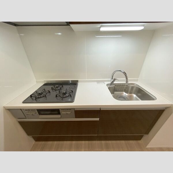 グラナーデ祖師谷206号室 206号室システムキッチン