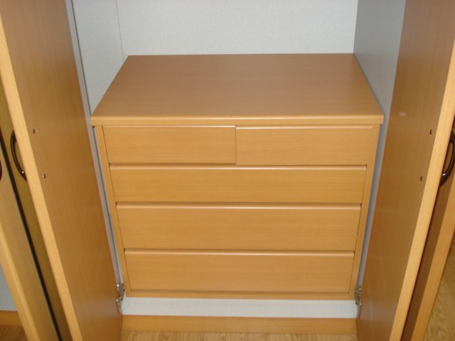 サンモールＳ，Ｔ101号室 クローゼット内の収納