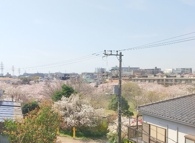 ポルボロン夏見台 10帖洋室から長津川ふれあい広場(公園)の景色が見渡せます。
