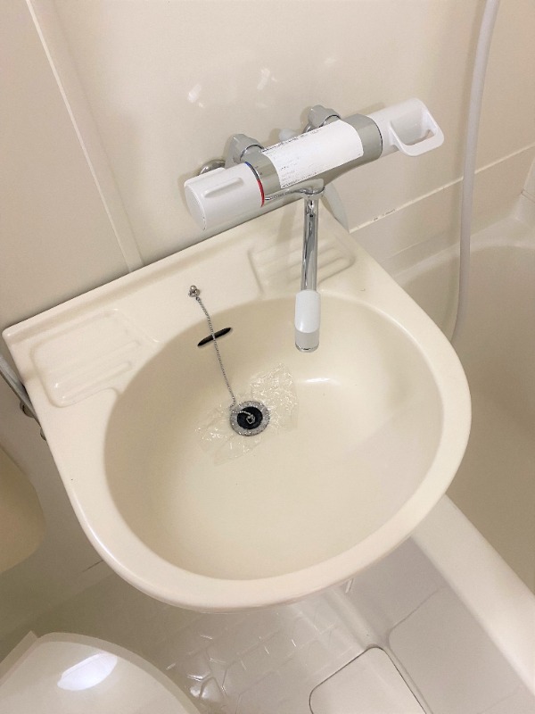 ビアメゾン・マミ常盤台6階 洗面