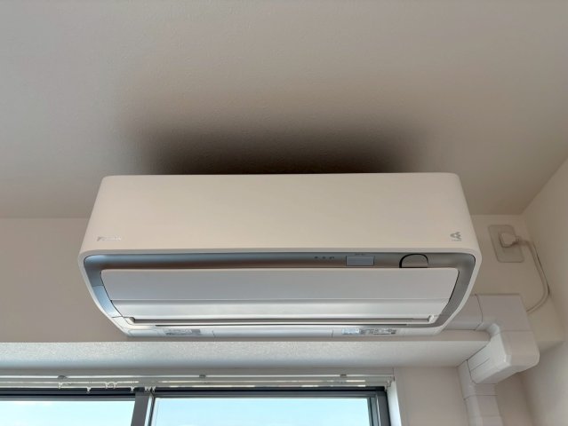 DIPS竹ノ塚駅前803号室 部屋設備