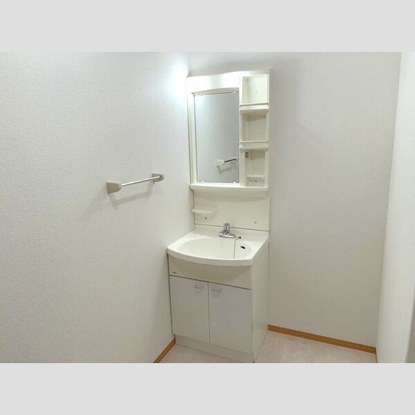 リビングタウン野田　ABCB101号室 洗面台