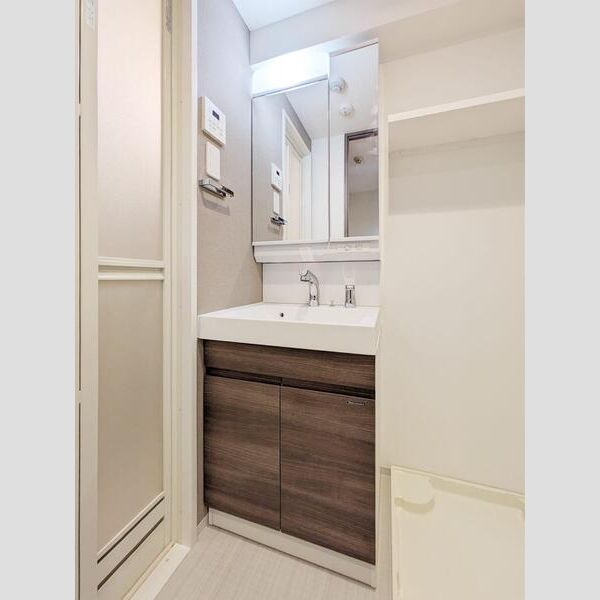 S-RESIDENCE横濱吉野町burgeon405号室 洗面