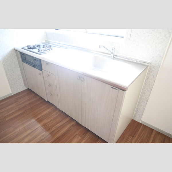 ヴァンベール東川口　Ⅰ/Ⅱ/ⅢⅡ101号室 システムキッチン