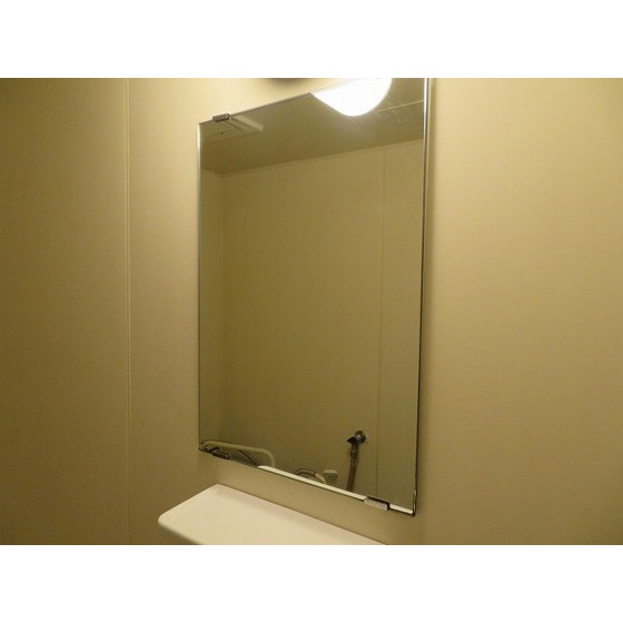 ウエスト立川0202号室 鏡