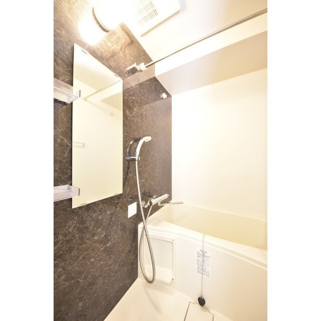 Court Blanche0504号室 内観