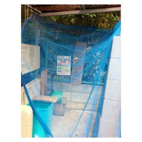 カオパレス72階 部屋その他