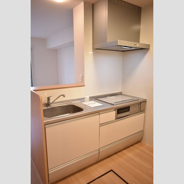 ルシエール氷川102号室 システムキッチン