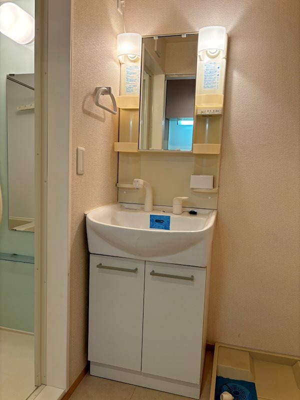 GENOVIA原木中山1階 洗面