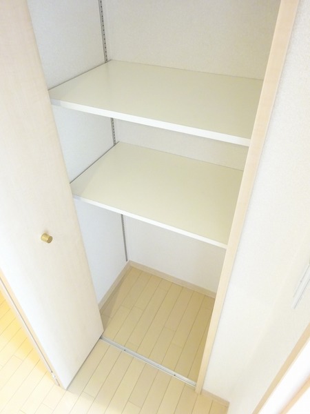 ＲＥＶ・ＣＬＯＳＥ802号室 収納