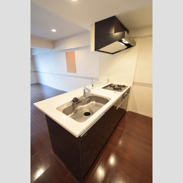 ロイヤルパークス西新井0327号室 キッチン