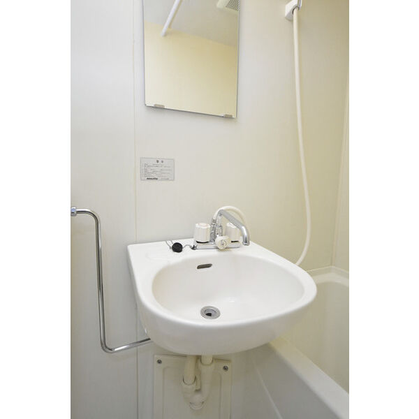 ヒルズガーデン東雪谷0203号室 洗面