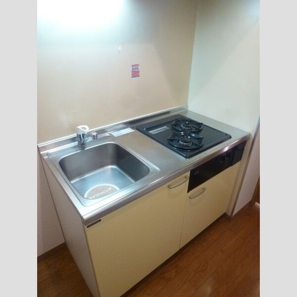 エミナンス丸山台203号室 システムキッチン