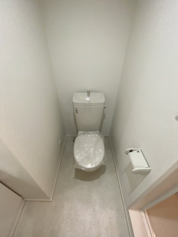 メゾン・ド・スピカ203号室 トイレ