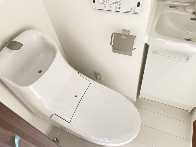 ＰＩＮＥＳ平和台0301号室 トイレ