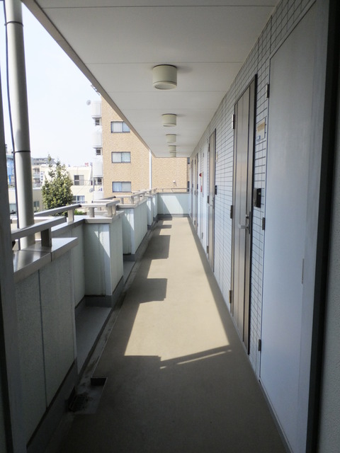サンイング上石神井0203号室 共用廊下