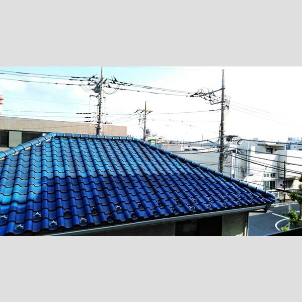 レディース・ビレッジ　ヨシトモ303号室 眺望