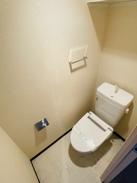 トレセリア大和田弐番館 トイレ