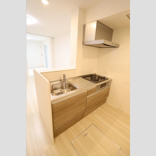 ange 対面システムキッチン