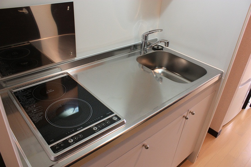 レオネクストラブバード102号室 キッチン