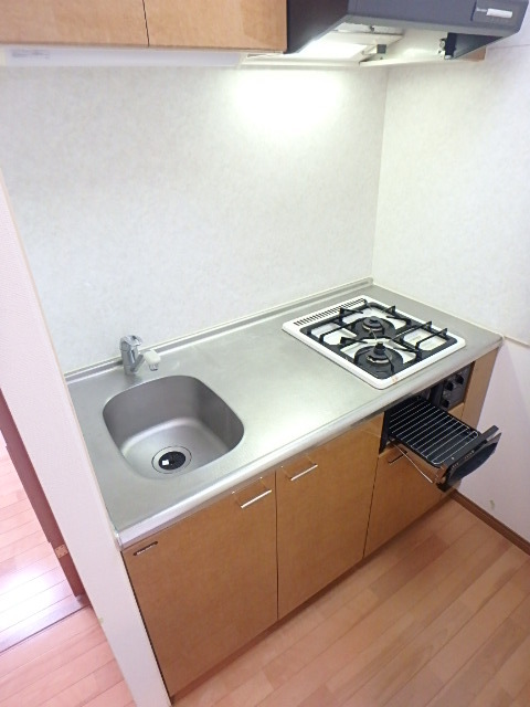 ガラ・シティ駒沢大学 システムキッチン