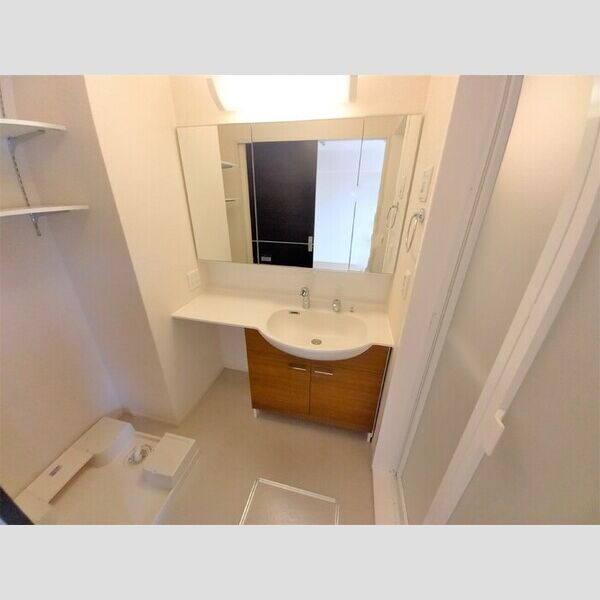 ロイヤルパレス　Ⅱ番館 ワイド洗髪洗面化粧台