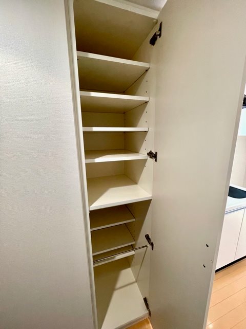 レジディア武蔵小杉4階 収納