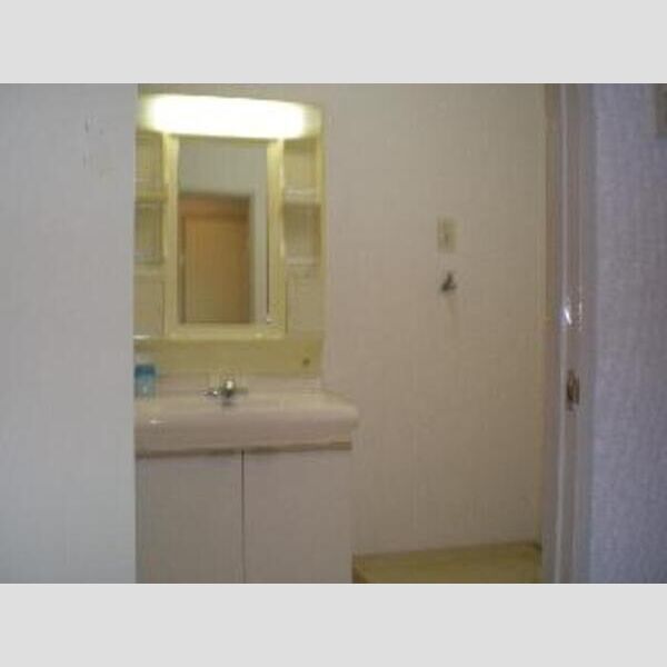 ロイアルパレスシマ 105 洗面所