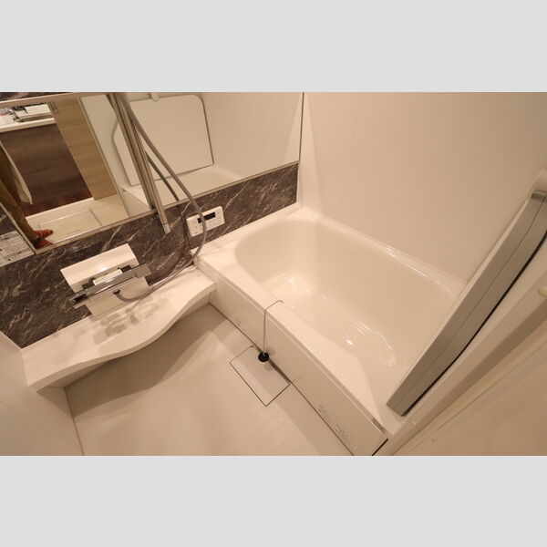 D-ROOM新宿Ⅰ-B205号室 バス