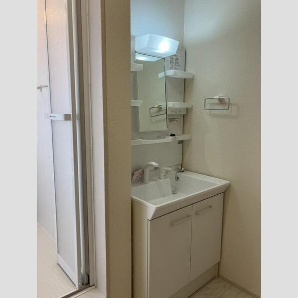 リーブルファイン大森台 201号室洗面所