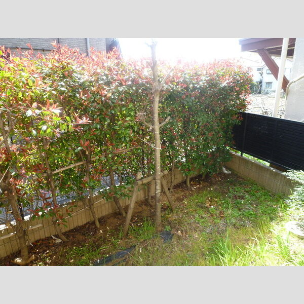 ローズコート宝町107号室 テラス