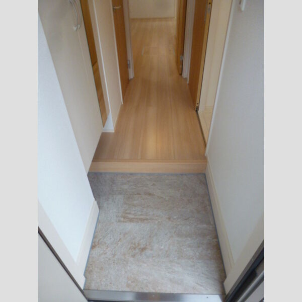 ロータス草加　Ⅱ107号室 玄関