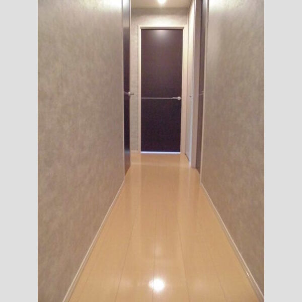 ドリームハイツ　B103号室 部屋その他