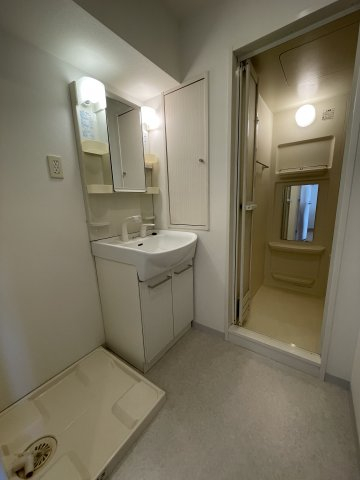 クレアール巣鴨302号室 洗面