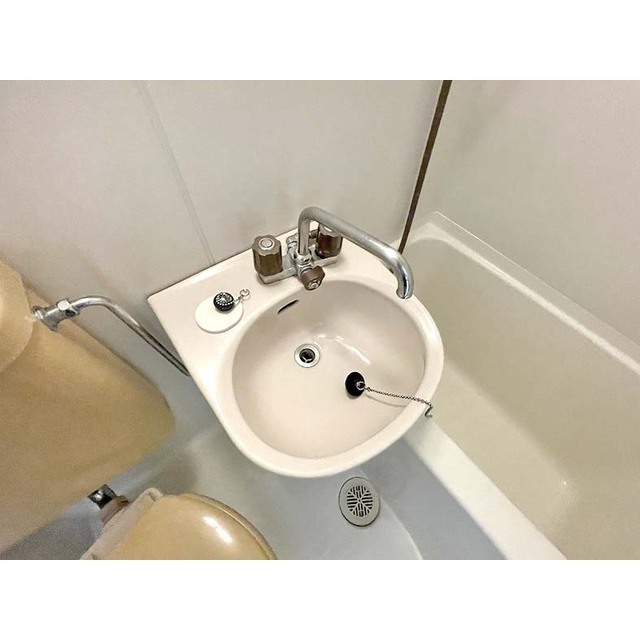 相川マンション202号室 洗面