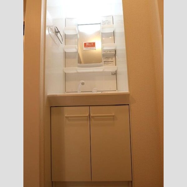 エメ　ドゥーズ301号室 洗髪洗面化粧台