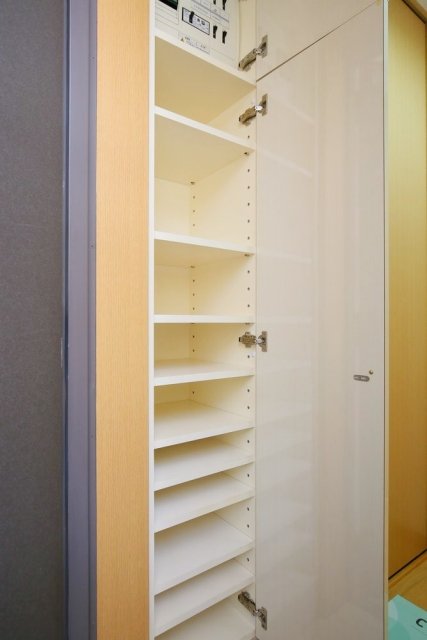 スカイコート市ヶ谷柳町 靴入