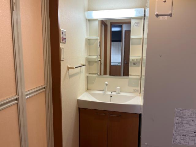 レジデンス（Ｒｅｓｉｄｅｎｃｅｓ）淵野辺103号室 洗髪洗面化粧台