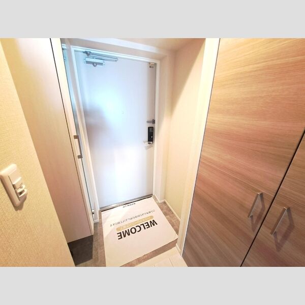 ベイサイドヒルズ関内601号室 玄関