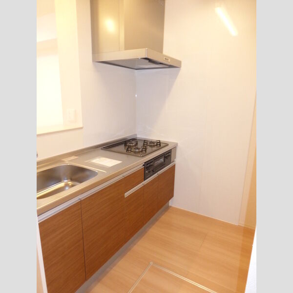 ヴィラグランデⅡ106号室 システムキッチン